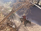 photo thumbnail #6