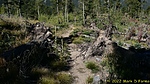 photo thumbnail #15