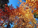 photo thumbnail #10