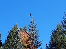 photo thumbnail #13