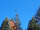 photo thumbnail #14