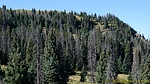 photo thumbnail #14
