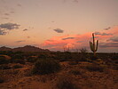 photo thumbnail #2