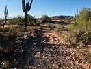 photo thumbnail #1