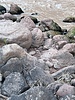 photo thumbnail #13