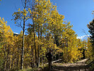 photo thumbnail #9