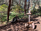 photo thumbnail #4