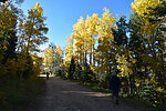 photo thumbnail #2