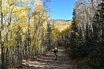 photo thumbnail #5