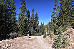 photo thumbnail #7