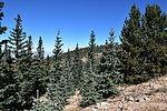 photo thumbnail #9