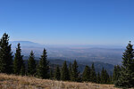 photo thumbnail #13
