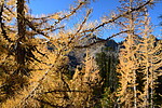 photo thumbnail #12
