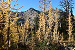 photo thumbnail #11