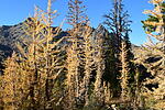 photo thumbnail #9