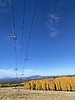 photo thumbnail #13