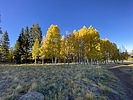 photo thumbnail #14