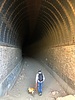 photo thumbnail #13