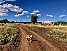 photo thumbnail #3