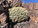 photo thumbnail #6