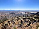 2022-10-18 :1: Radio Tower / Bolt Trail Loop :: kingsnake