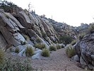 photo thumbnail #3