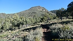 photo thumbnail #6