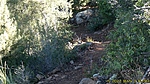 photo thumbnail #14