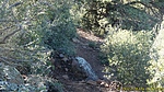 photo thumbnail #15