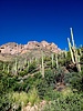 2022-10-20 :1: Hewitt Ridge Circumference :: joebartels