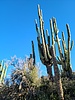 photo thumbnail #5