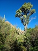 photo thumbnail #13