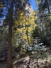 photo thumbnail #3