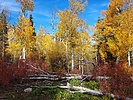 photo thumbnail #11