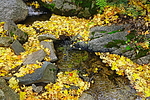photo thumbnail #12