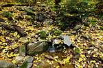 photo thumbnail #14