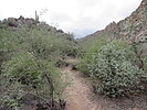 photo thumbnail #6