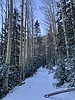photo thumbnail #5