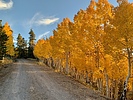 photo thumbnail #3