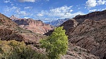 photo thumbnail #4