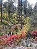 photo thumbnail #12