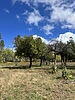 photo thumbnail #13