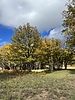 photo thumbnail #15