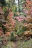photo thumbnail #11