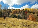 photo thumbnail #4