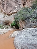 photo thumbnail #15