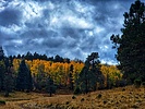 photo thumbnail #10