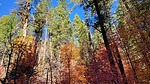 photo thumbnail #13
