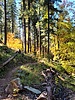 photo thumbnail #10