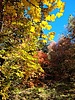 photo thumbnail #13